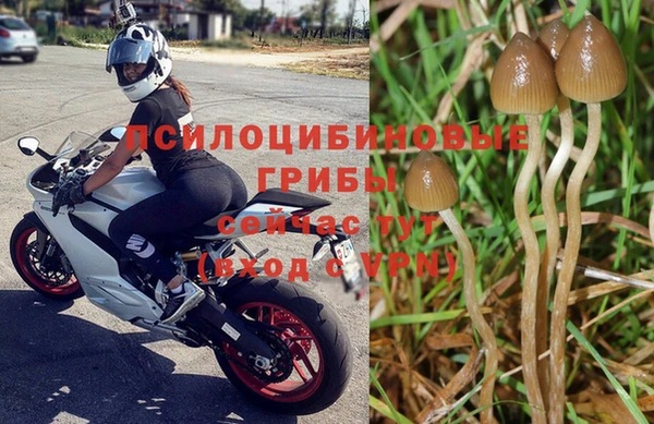 стаф Армянск