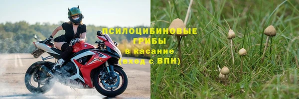 гашиш Арсеньев