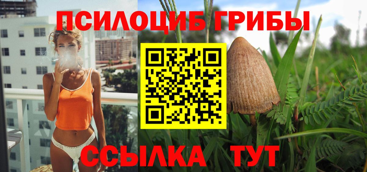 Зима  Галлюциногенные грибы Magic Shrooms  Псилоцибиновые грибы Cubensis  Вход с VPN 
