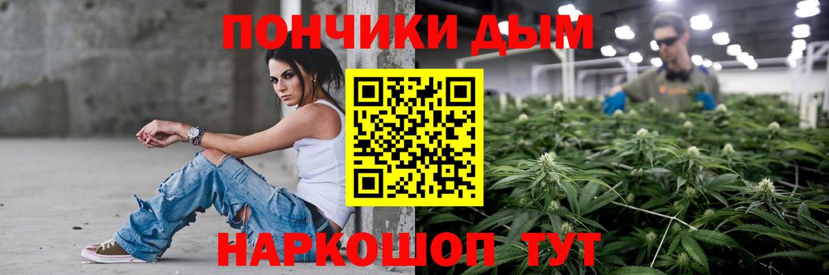 Каннабис гибрид  Вход с VPN  Зима  Марихуана план  Марихуана тримм 
